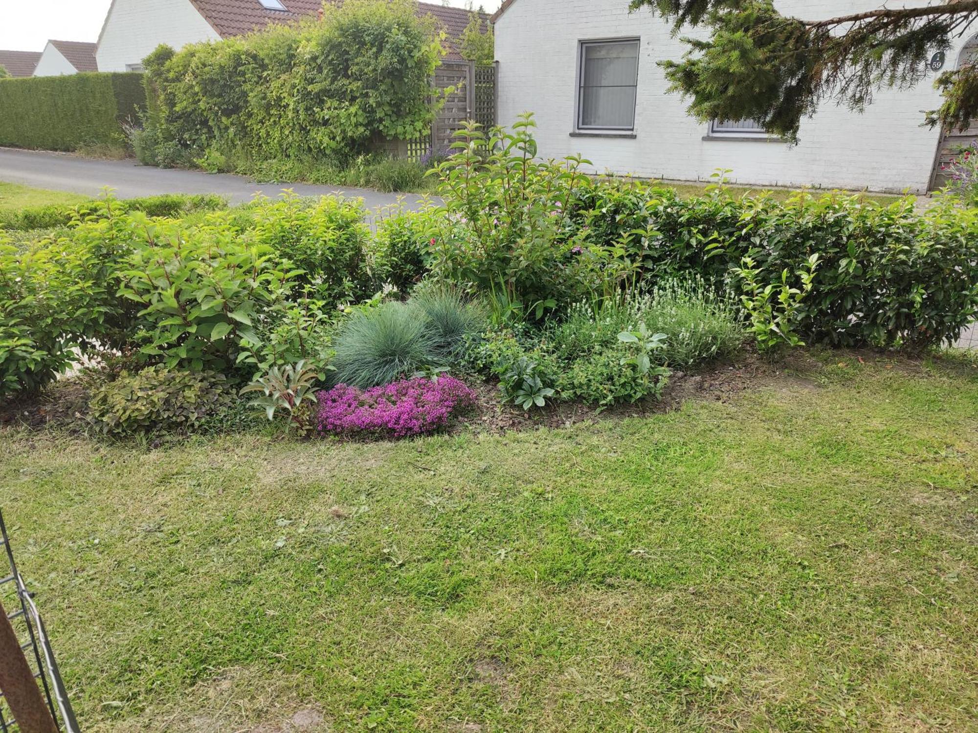 Cosy Vakantie Huis De Haan Zewnętrze zdjęcie